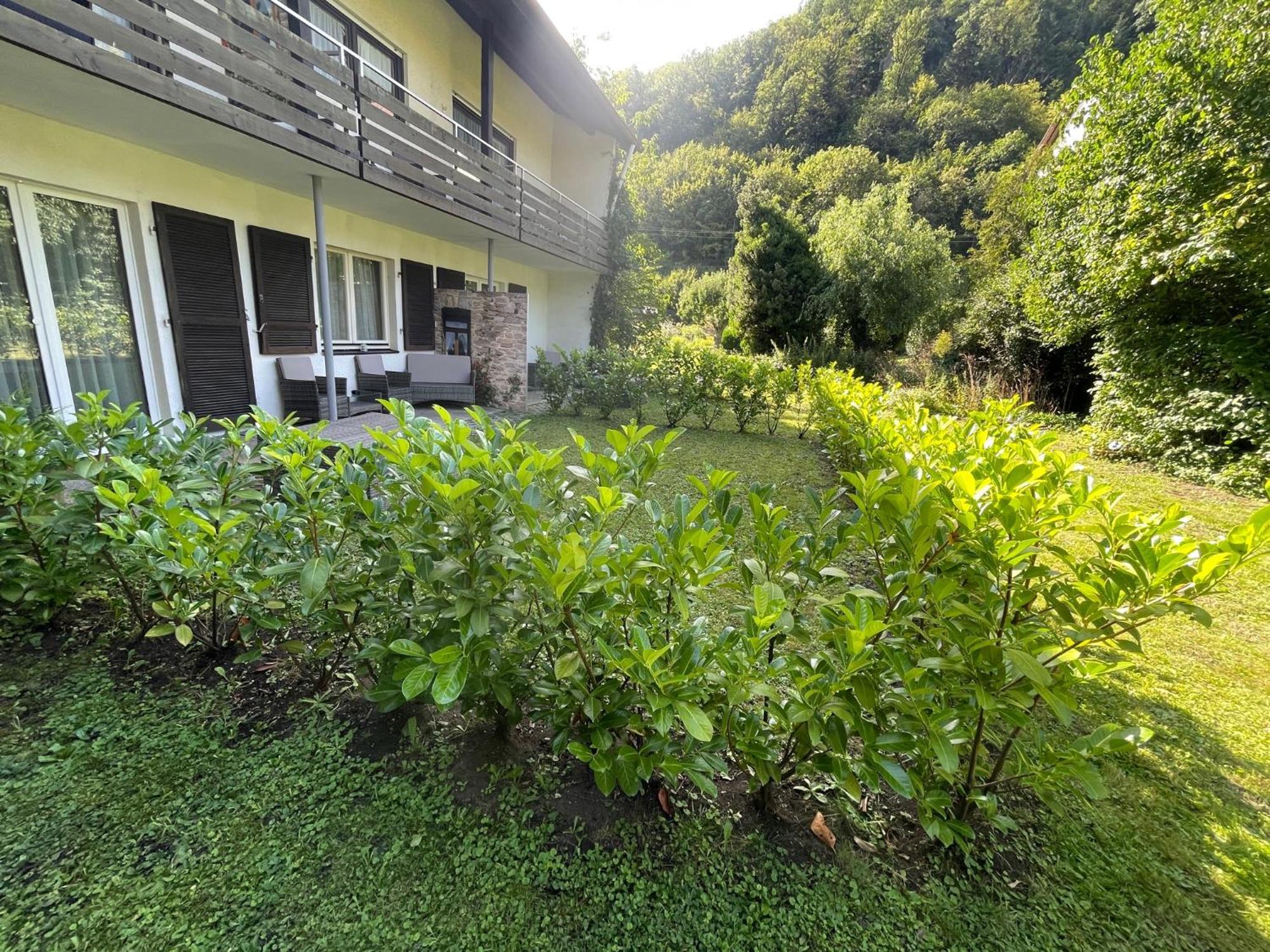 Hotel Restaurant Adler Stube Münstertal Dış mekan fotoğraf
